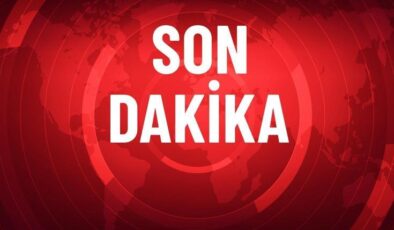 DEM Parti’den